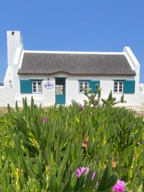 Bluebird Cottage at Langezandt